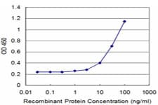 Monoclonal Mouse anti-Human TCEA1 / TFIIS Antibody (clone 1B7, WB)