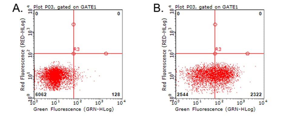 HAVCR2 / TIM-3 Antibody (clone OTI2B9)