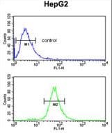 FBXL5 / FBL5 Antibody (aa86-115)