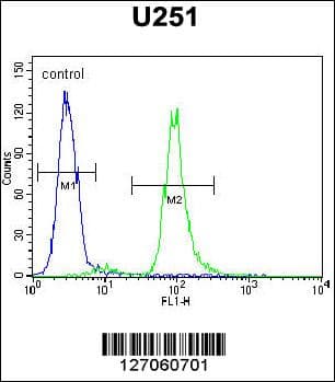 VIT Antibody (aa567-595)