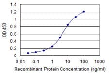 ORC3L / ORC3 Antibody (clone 1G1)