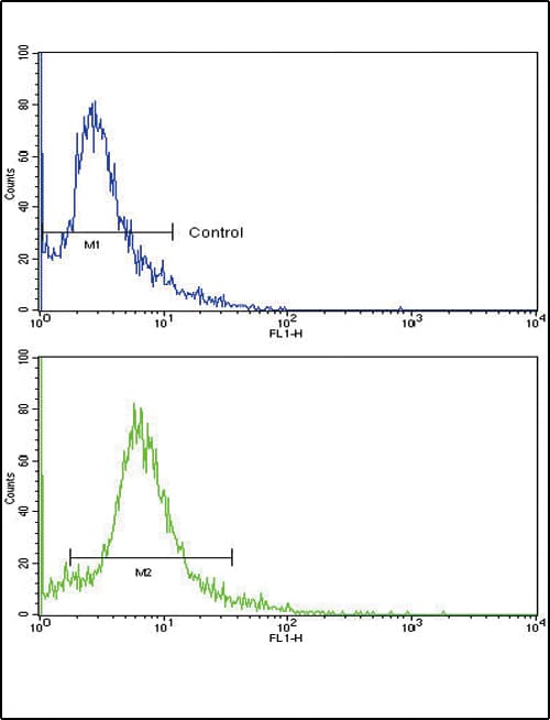 Polyclonal Rabbit anti-Human SKP2 Antibody (aa156-185, WB)