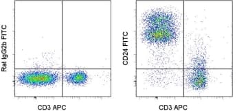 Monoclonal Rat anti-Mouse CD24 Antibody (clone M1/69, FITC)