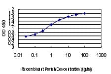 NEDD1 Antibody (clone 7D10)