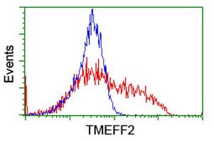 TMEFF2 Antibody (clone OTI3D1)