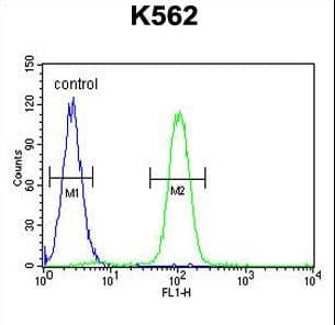 SP1 Antibody (aa677-707)