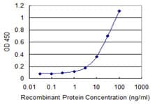 UNC13D Antibody (clone 2C7)