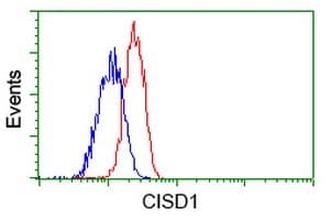 CISD1 Antibody (clone OTI2B3)