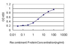 IHC-plus™ Monoclonal Mouse anti-Human MCF2L / DBS Antibody (clone 1D11, IHC, WB)
