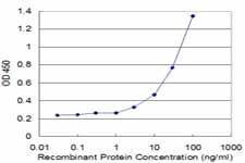 MMP23 Antibody (clone 1D8)