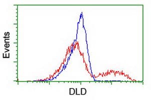 Monoclonal Mouse anti-Human DLD / Diaphorase / E3 Antibody (clone OTI4A10, IHC, IF, WB)
