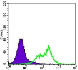 Monoclonal Mouse anti-Human RICTOR Antibody (clone 7B3, IHC, IF, WB)