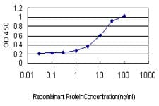 Monoclonal Mouse anti-Human INPPL1 / SHIP2 Antibody (clone 3E6, WB)