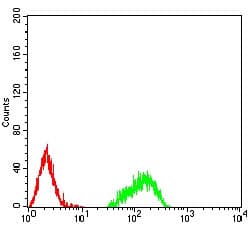 Monoclonal Mouse anti-Human HIST2H4A Antibody (clone 7A2E10)