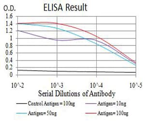 ALDH1A1 / ALDH1 Antibody (clone 2B2G1)