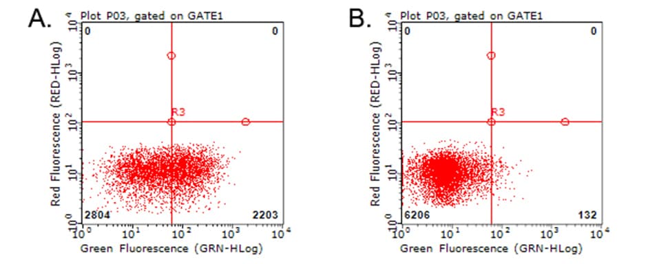 Monoclonal Mouse anti-Human HAVCR2 / TIM-3 Antibody (clone OTI2F11, WB)