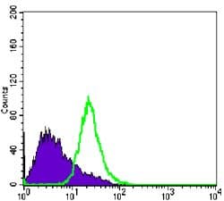 NKX3-1 Antibody (clone 4H4)