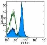 Monoclonal Rat anti-Mouse CD16 + CD32 Antibody (clone 93)