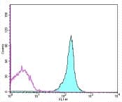 Monoclonal Mouse anti-Mouse CD45.2 Antibody (clone 104, FITC)