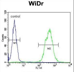 TNRC9 / TOX3 Antibody (aa214-242)