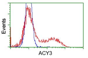 ACY3 Antibody (clone OTI3A1)