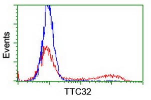 TTC32 Antibody (clone OTI4G10)