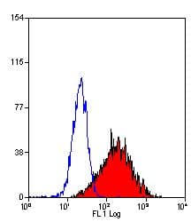 CD209 / DC-SIGN Antibody (clone MR-1, FITC)