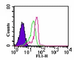TLR7 / CD287 Antibody (aa706-728, FITC)