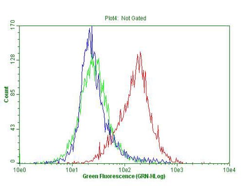 Monoclonal Mouse anti-Human p16INK4a / CDKN2A Antibody (clone OTI4H4, IHC, WB)