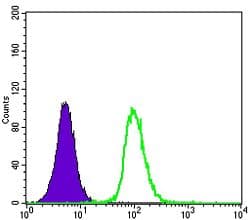 GSTP1 / GST Pi Antibody (clone 3F2C2)