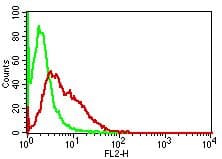 CYCS / Cytochrome c Antibody