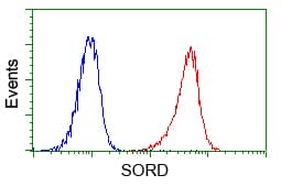 SORD / Sorbitol Dehydrogenase Antibody (clone OTI15H2)