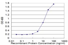 Monoclonal Mouse anti-Human MAGED1 / NRAGE Antibody (clone 1E1, WB)