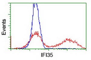 IFI35 Antibody (clone OTI2D6)