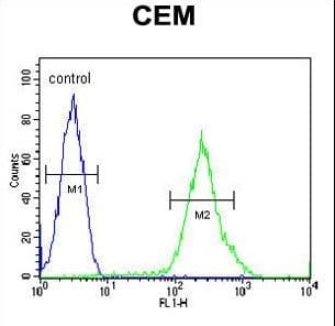 C6orf108 Antibody (aa20-48)
