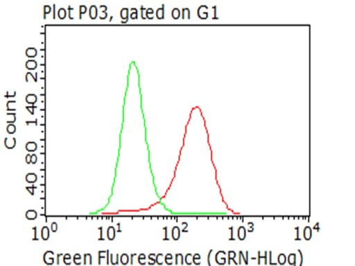 CTAG1B / NY-ESO-1 Antibody (clone UMAB73)