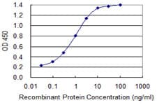 Monoclonal Mouse anti-Human DPYSL2 / CRMP2 Antibody (clone 1F11, IF, WB)