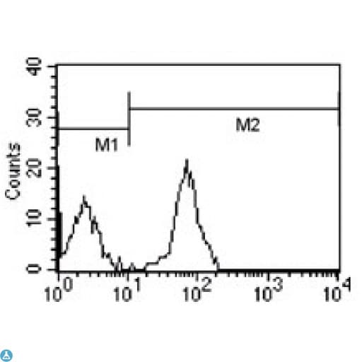 CD247 / CD3 Zeta Antibody (FITC)