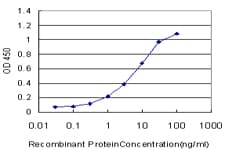 CD38 Antibody (clone 4G3)