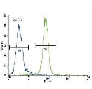 AKT1 Antibody (aa49-76)