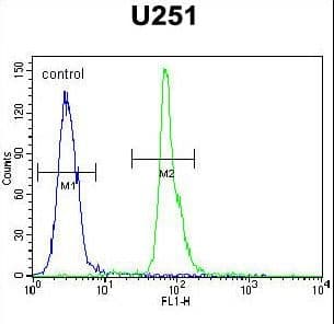 Polyclonal Rabbit anti-Human COPZ2 Antibody (aa156-184, IHC, WB)
