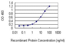 NPTX1 Antibody (clone 7E6)