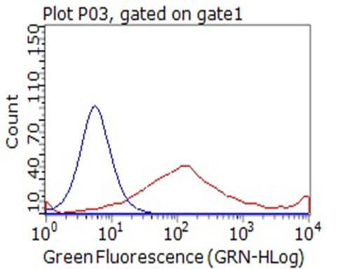 CD80 Antibody (clone OTI5B5)