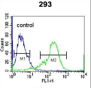 NKX1-2 Antibody (aa46-74)