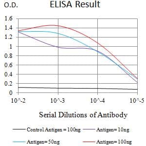 ADAM8 Antibody (clone 3B10D7)