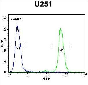 ACKR3 / CXCR7 Antibody (aa333-362)