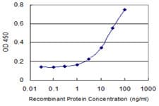 Monoclonal Mouse anti-Human TNFRSF19 / TROY Antibody (clone 1H6, WB)