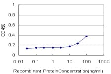USF2 Antibody (clone 5F2)