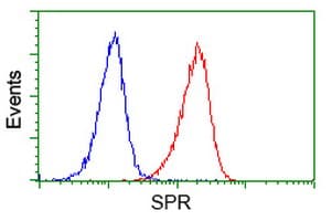 SPR Antibody (clone OTI4F5, Carrier-free)