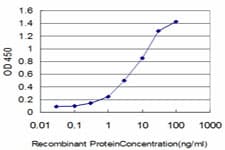 IHC-plus™ FGR Antibody (clone 3G10)